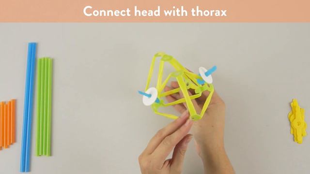 Create a Winged Insect by Strawbees смотреть онлайн