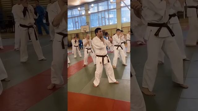 МОСКВА ДАН-ТЕСТ  аттестация черный пояс 1 дан смотреть онлайн