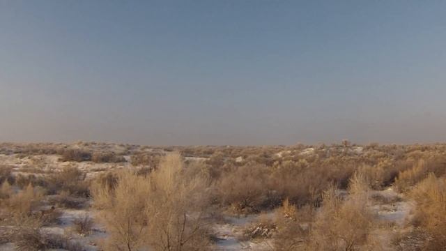 Маячок в степи (на охоте). смотреть онлайн