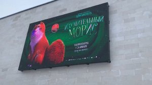 Помехи при фото либо видеосъёмке светодиодного экрана.  Какой тип лед экрана выбрать?