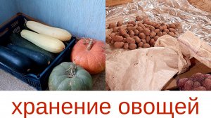 Хранение овощей в гараже и дома...