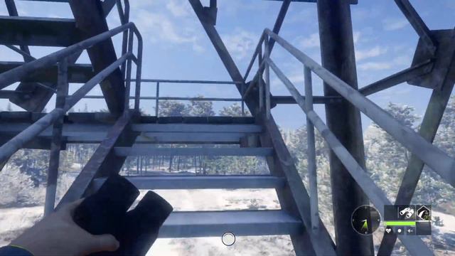 theHunter call of the wild - симулятор охоты смотреть онлайн