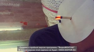 ФитоСвечи