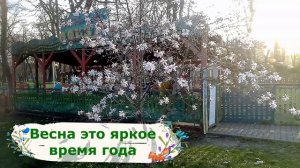 0+ Весна апрель 2021г. Краснодар. Цветы весной в Краснодаре. Стихотворение про весну.