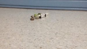 angry birds star wars 3 trailer
