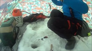 За Крупным Лещем и окунем 2018 зимняя рыбалка Череменецкое озеро ЛУЖСКИЙ район