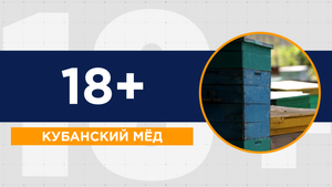 Мёд - в чем польза и вред? Сколько мёда можно есть в день? О кубанских пасеках и разновидностях мёда