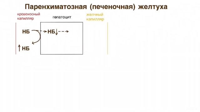 Паренхиматозная желтуха. смотреть онлайн