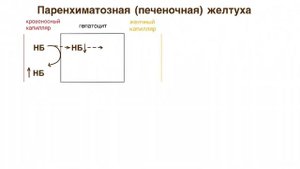 Паренхиматозная желтуха.