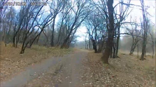 Щедрищево 08 10 2020 год смотреть онлайн