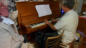 Скотч терьеры поют