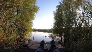 Ловлю на лёгкий пикер!Выкармливаю карася!