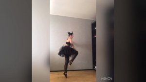 Почти лебединое озеро