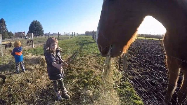 La ferme des logis @ Besme смотреть онлайн
