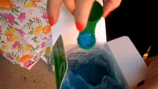 США. Цветоводство. Зацвел кактус-декабрист второй раз в году. смотреть онлайн