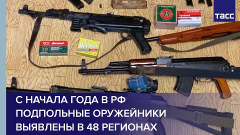 С начала года в РФ подпольные оружейники выявлены в 48 регионах
