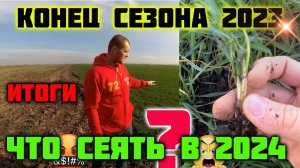 Конец сезона 2023. Подведение итогов. Что сеять в 2024.
