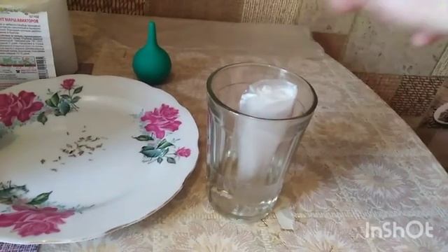 Посадка семян цветочных культур безземельным способом. смотреть онлайн