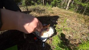 Пошли в лес. Жарим крылышки.(1)13апреля 2019.