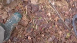 Новый проект (2).mp4