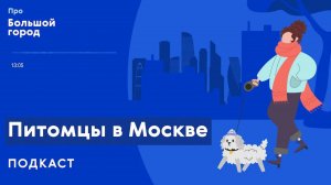 Питомцы в Москве | Подкаст «Про Большой город»