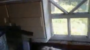 Птичка залетела на веранду