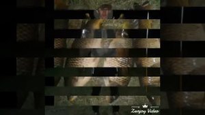 Рыбалка с острогой 12.05.2017год