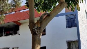 Археологический памятник рядом с домом