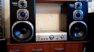 Акустика Yamaha ns 300x -тест