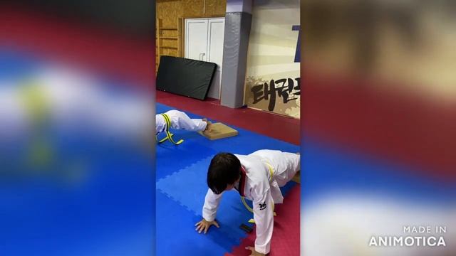 Новички тренируются с грузом, для резкого и жёсткого удара руками. #subscribe #taekwondo #trending смотреть онлайн