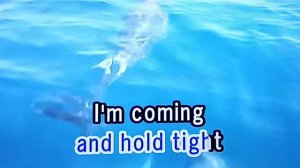 COMING HOME Sheppard 🎵Karaoke Version🎵