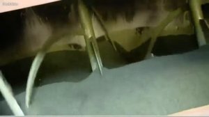 ИДЕЯ ¦ ПЕРЕРАБОТКА АВТОМОБИЛЬНЫХ КОЛЁС ¦ ПЕРЕРАБОТКА РЕЗИНЫ