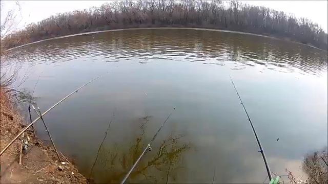 Природа и рыбалка на Дону 04 04 2020 смотреть онлайн