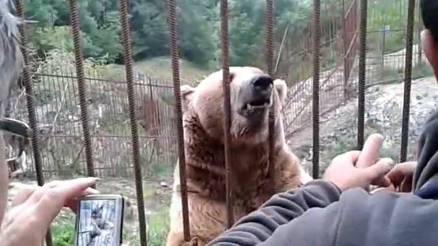 Кормим Тимку смотреть онлайн