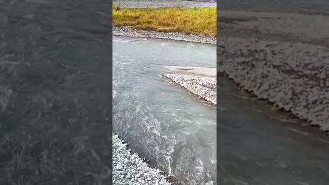 Дождевая вода хороша для полива всегда! смотреть онлайн