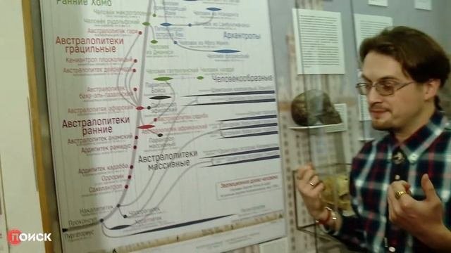 Антропология для чайников