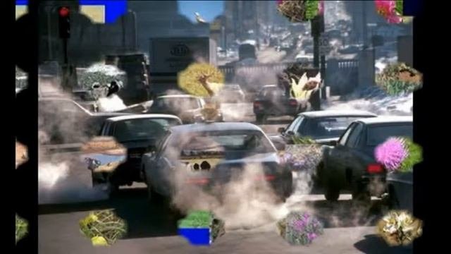 Социальный ролик 