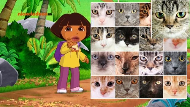 Очки для кота. Шоу Валентины Артемовны смотреть онлайн