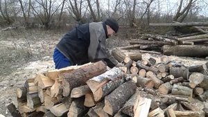 Заготовка дров!Микроавтобус для перевозки дров!