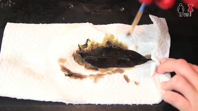 DIY Skeleton Leaves, CORINNE VS PIN #15 смотреть онлайн