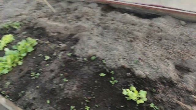 Сказочная погода в ноябре
