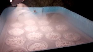 Аэропоника (картофель из семян)