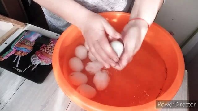 ✔#влог//Куры Несутся и Зимой!//Яйцо Леггорн//Как Хранить и Подготовить Яйцо к Инкубации?