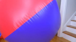 Puppy vs Gigantic Beach Ball Prank: Funny Puppy Dog Indie Gets HUGE Surprise