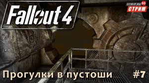 Fallout 4 ● Прогулки и разговорчики в пустоши / стрим #7