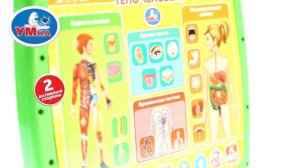 Двусторонний планшет Умка, Тело человека.400 слов, фактов, игр и звуков, 336897