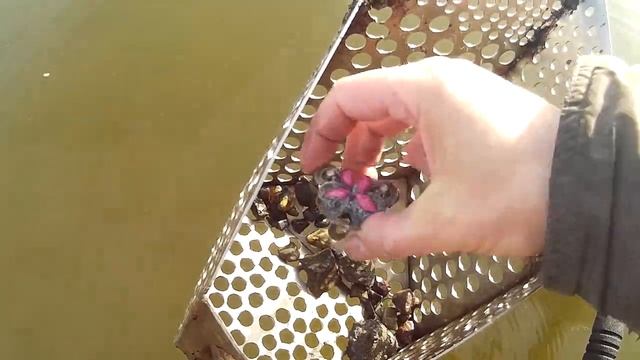 Пляжный коп. Подводный поиск украшений! смотреть онлайн