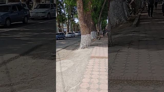 газалкент город нашего детства