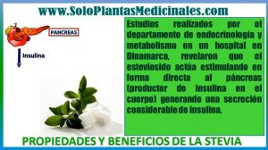 Propiedades y Beneficios de la Stevia