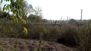 Самарская область, Старая Бинарадка